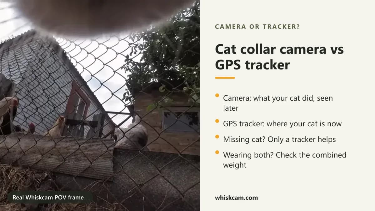 Real Whiskcam POV frame of a snowy street under a blue sky, whiskers in view, with camera versus GPS tracker differences