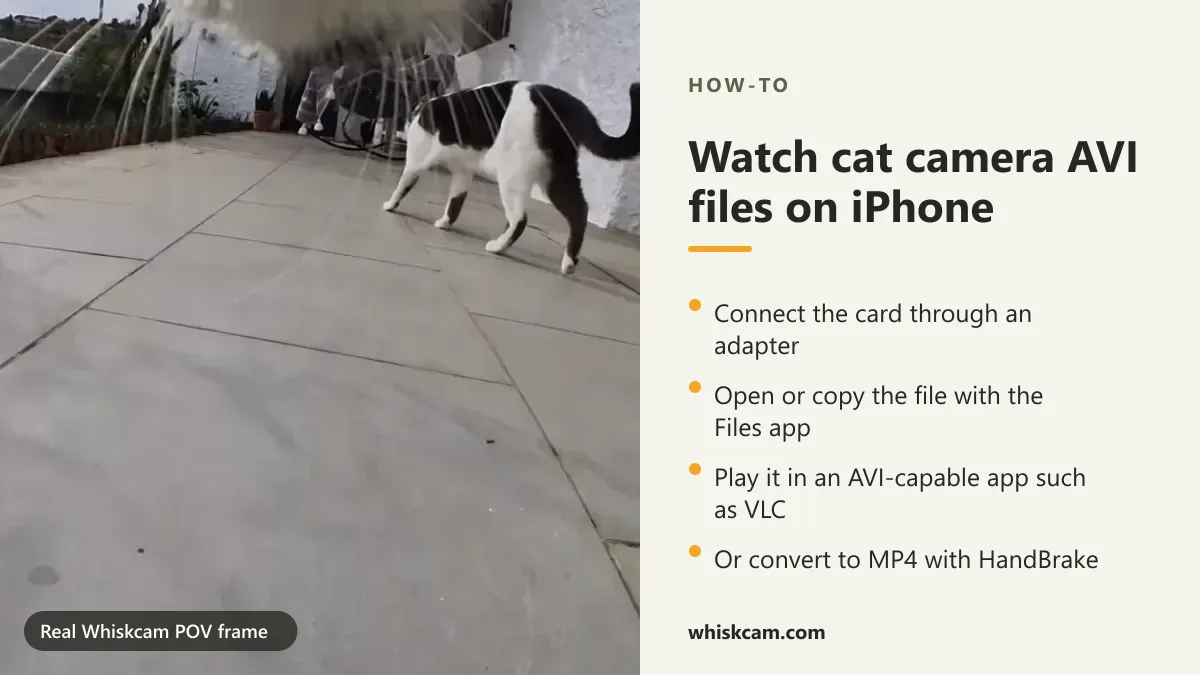 Real Whiskcam POV frame of a cat crossing a terrace, with steps to play AVI files on iPhone