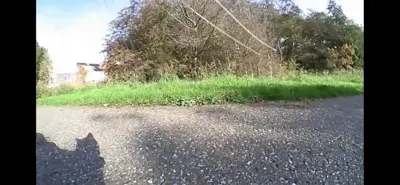 Whiskcam review photo by Jacquie H. — cat collar camera