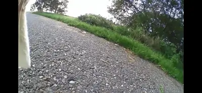 Whiskcam review photo by Jacquie H. — cat collar camera