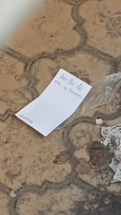 Whiskcam review photo by Vilma L. — cat collar camera